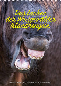 Das Lachen der Westerwälder Islandhengste. (Wandkalender 2022 DIN A2 hoch)