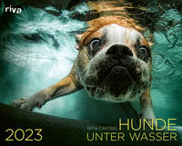 Hunde unter Wasser 2023