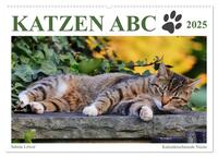 Katzen ABC (Wandkalender 2025 DIN A2 quer), CALVENDO Monatskalender