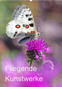 Schmetterlinge, schöne Flieger der Natur (Wandkalender 2022 DIN A2 hoch)