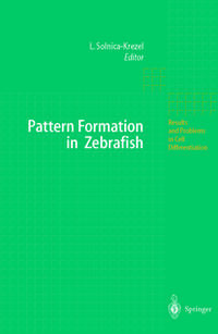 Pattern Formation in Zebrafish