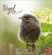 Vögel in unseren Gärten Postkartenkalender 2022