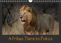 Afrikas Tiere im FokusAT-Version (Wandkalender 2023 DIN A4 quer)