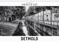 Ein Blick auf Detmold (Wandkalender 2022 DIN A4 quer)