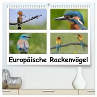 Europäische Rackenvögel (hochwertiger Premium Wandkalender 2025 DIN A2 quer), Kunstdruck in Hochglanz