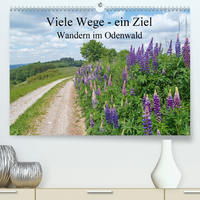 Viele Wege - ein Ziel Wandern im Odenwald (Premium, hochwertiger DIN A2 Wandkalender 2021, Kunstdruck in Hochglanz)