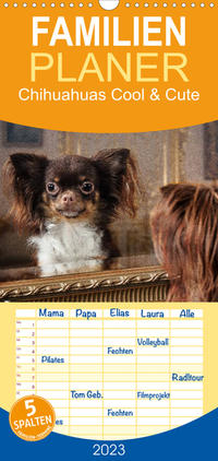 Familienplaner Chihuahuas - Cool and Cute (Wandkalender 2023 , 21 cm x 45 cm, hoch)