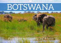 Botswana- Pirschfahrt mit Garantie auf Wildlife (Wandkalender 2022 DIN A4 quer)