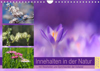 Innehalten in der Natur ... mit Weisheiten und Sprichworten der Indianer (Wandkalender 2022 DIN A4 quer)