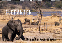 Elefanten - Die sanften Riesen Afrikas (Wandkalender 2020 DIN A2 quer)