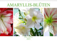 Amaryllis-Blüten (Wandkalender 2023 DIN A3 quer)