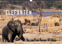 Elefanten - Die sanften Riesen Afrikas (Wandkalender 2020 DIN A3 quer)