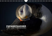 Papageitaucher: Puffin - Lundi - Fratercula arctica (Wandkalender 2022 DIN A4 quer)