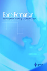 Bone Formation