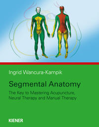 Segmental Anatomy