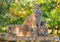 Dem Luchs auf der Spur (Wandkalender 2022 DIN A2 quer)