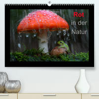 Rot in der Natur (Premium, hochwertiger DIN A2 Wandkalender 2022, Kunstdruck in Hochglanz)