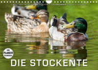 Emotionale Momente: Die Stockente. (Wandkalender 2023 DIN A4 quer)