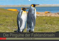 Die Pinguine der Falklandinseln (Wandkalender 2022 DIN A2 quer)