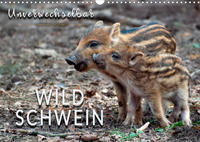 Unverwechselbar - Wildschwein (Wandkalender 2023 DIN A3 quer)