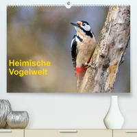 Heimische Vogelwelt (Premium, hochwertiger DIN A2 Wandkalender 2023, Kunstdruck in Hochglanz)