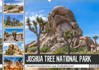 JOSHUA TREE NATIONAL PARK Wüstenimpressionen aus Südkalifornien (Wandkalender 2021 DIN A2 quer)