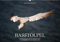 Emotionale Momente: Basstölpel (Wandkalender 2020 DIN A2 quer)