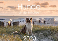 Hunde an der Nordsee (Wandkalender 2023 DIN A3 quer)