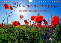 Blumenwiesen – ein blütenzauberhaftes Jahr (Wandkalender 2023 DIN A4 quer)