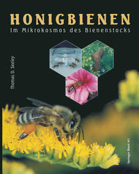 Honigbienen