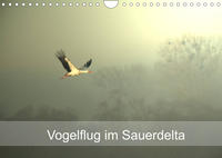 Vogelflug im Sauerdelta (Wandkalender 2022 DIN A4 quer)