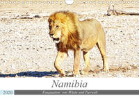 Namibia, Faszination Wüste und Tierwelt (Wandkalender 2020 DIN A4 quer)