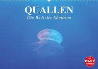 Quallen. Die Welt der Medusen (Wandkalender 2021 DIN A2 quer)