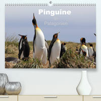 Pinguine in Patagonien (Premium, hochwertiger DIN A2 Wandkalender 2022, Kunstdruck in Hochglanz)