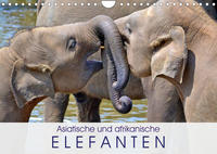 Asiatische und afrikanische Elefanten (Wandkalender 2023 DIN A4 quer)