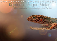 Reptilien - Augen-Blicke. Märchenhafte Darstellungen der Exoten (Tischkalender 2023 DIN A5 quer)