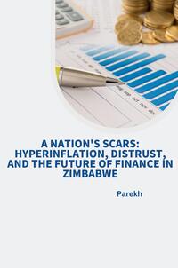 A Nation's Scars: Hyperinflation, Distrust, and the Future of Finance in Zimbabwe