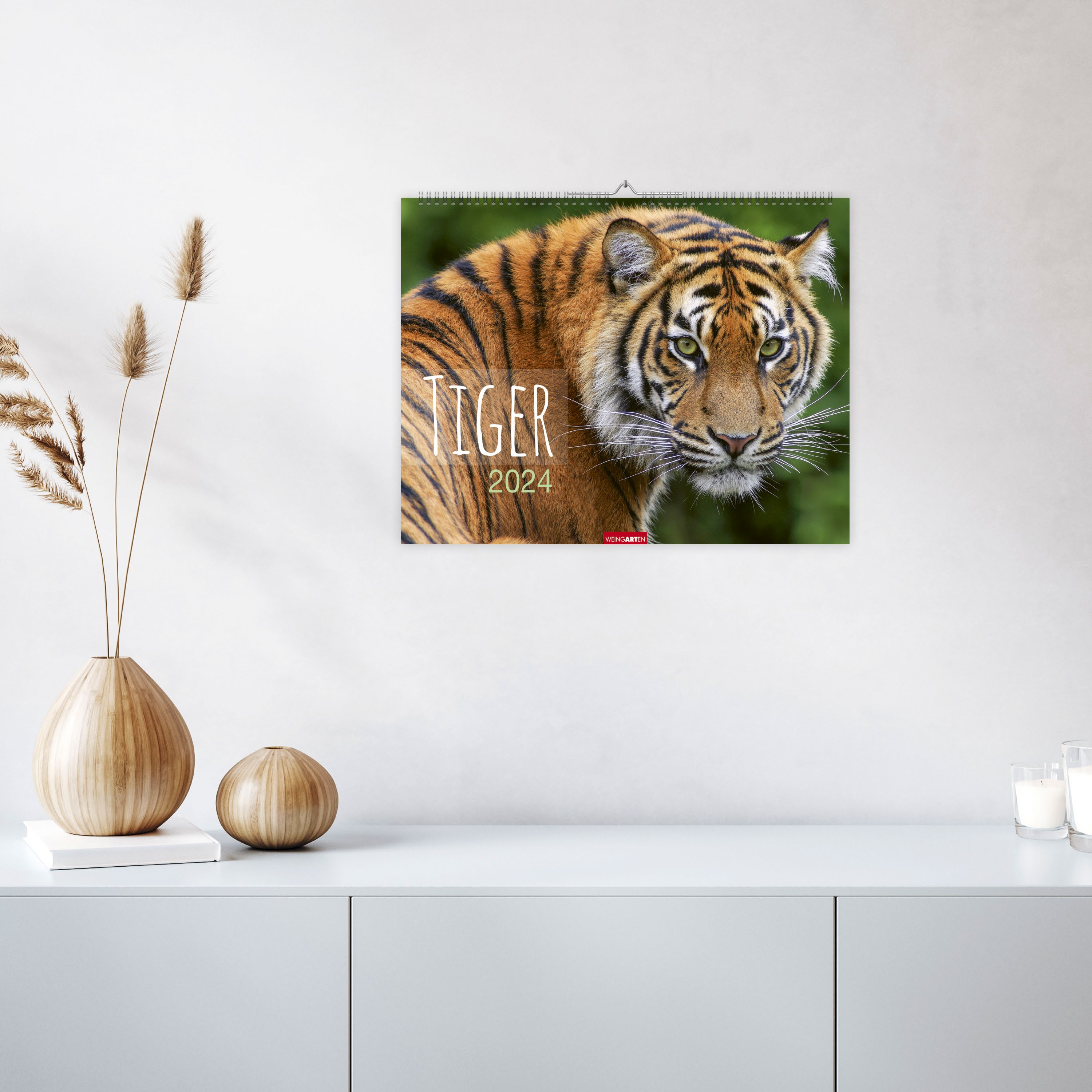 Tiger Kalender 2024. Die majestätischen Großkatzen in einem großen Wand-Kalender. Hochwertiger Fotokalender mit Porträts der verschiedenen Tigerarten. 44x34 cm Querformat