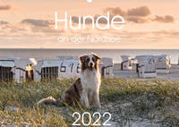 Hunde an der Nordsee (Wandkalender 2022 DIN A2 quer)