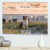 Hunde an der Nordsee (Premium, hochwertiger DIN A2 Wandkalender 2022, Kunstdruck in Hochglanz)