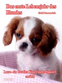 Das erste Lebensjahr des Hundes - Lasse - eine Cavalier King Charles Spaniel erzählt