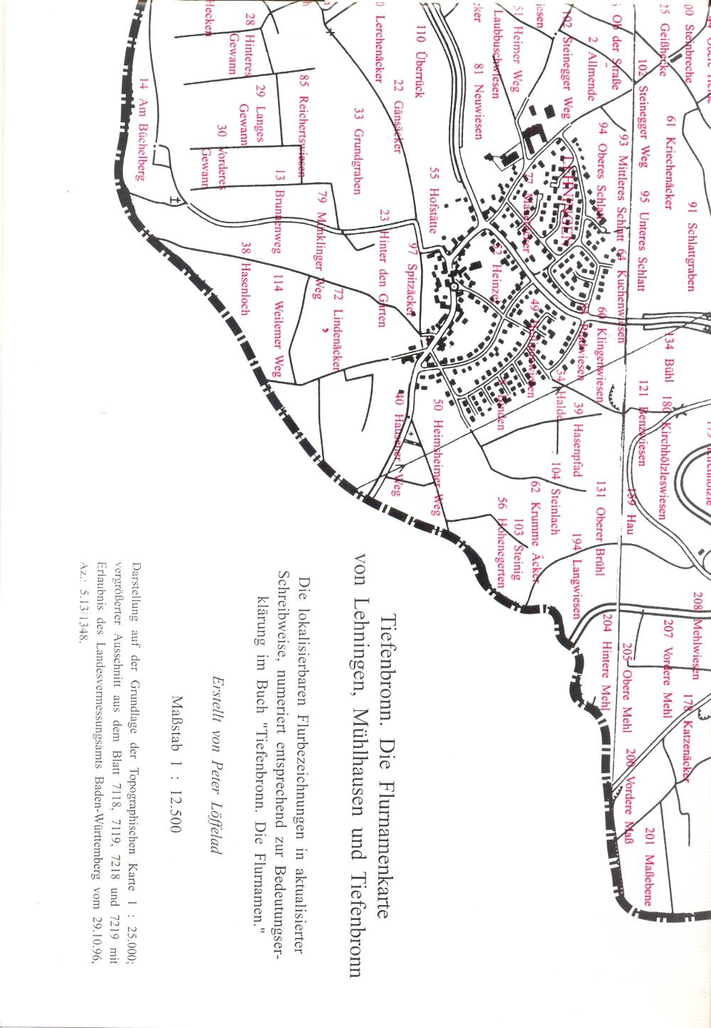 Tiefenbronn. Die Flurnamen von Lehningen, Mühlhausen und Tiefenbronn