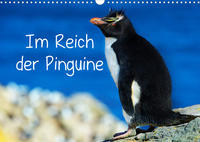 Im Reich der Pinguine (Wandkalender 2022 DIN A3 quer)