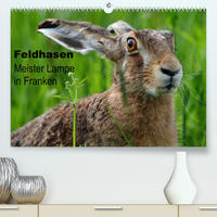 Feldhasen - Meister Lampe in Franken (Premium, hochwertiger DIN A2 Wandkalender 2022, Kunstdruck in Hochglanz)