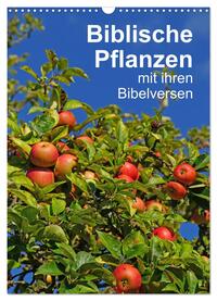 Biblische Pflanzen mit ihren Bibelversen (Wandkalender 2024 DIN A3 hoch), CALVENDO Monatskalender