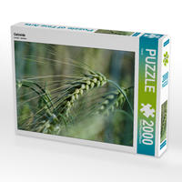 CALVENDO Puzzle Getreide 2000 Teile Lege-Größe 90 x 67 cm Foto-Puzzle Bild von Flori0