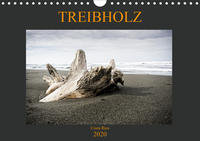 Treibholz Costa Rica (Wandkalender 2020 DIN A4 quer)