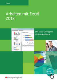 Arbeiten mit Excel 2013