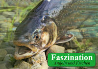 Faszination Angeln und Fischen (Wandkalender 2020 DIN A2 quer)