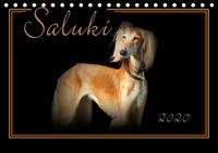 Saluki 2020 (Tischkalender 2020 DIN A5 quer)